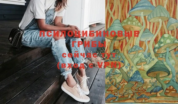 герыч Абаза
